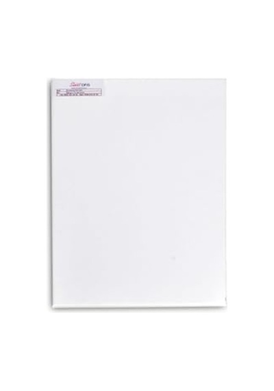 70 X 100 Cm Profesyonel Tuval