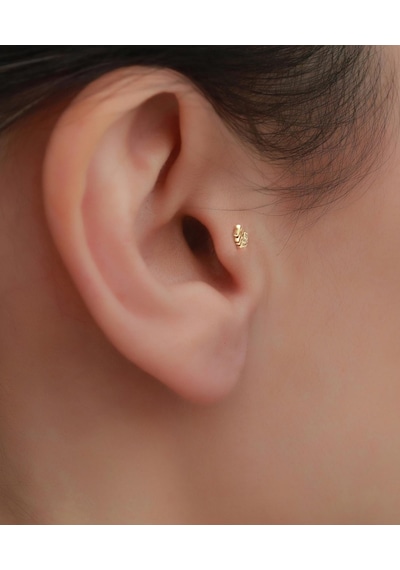 14 Ayar Altın Taşlı Balık Tragus Piercing Sarı Altın