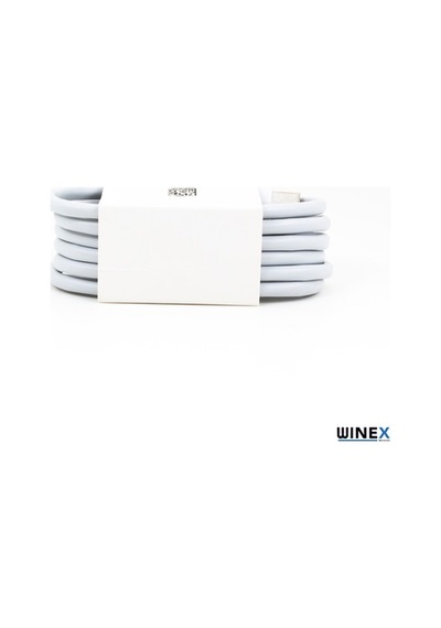Winex 6A 100W Usba To Type-C Hızlı Data Ve Şarj Kablosu Beyaz