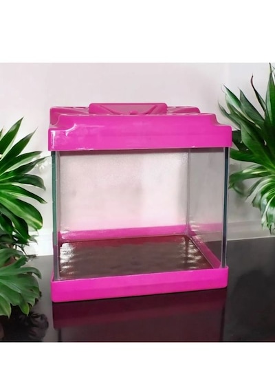 Kare Mini Akvaryum Pembe 20 x 20 x 15 CM