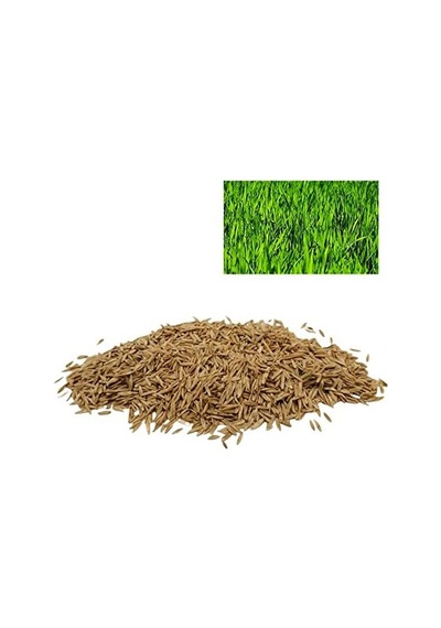 Tr Çim Tohumu 6mix 500gr