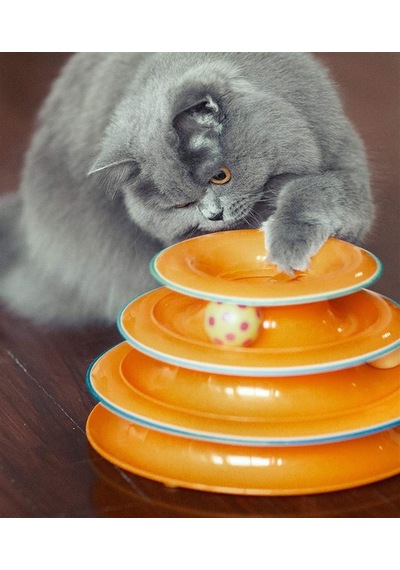 Kedi Zihin Geliştirici 3 Katlı Kule Oyuncak Asorti