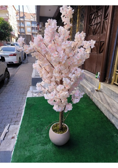 Rüzgar Yapay Çiçekçilik 150 Cm Yükseklikte Bahar Dalı Ağacı Krem