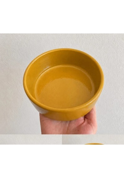Kase Model Beton Kedi Köpek Mama Ve Su Kabı 15cm Çap 5cm - Bronz