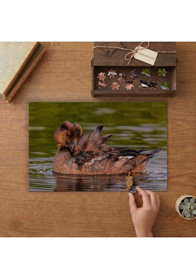 Gölde Yaban Ördeği Tasarımı 240 Parça Ahşap Puzzle Ahşap Kutuda Mpy40170