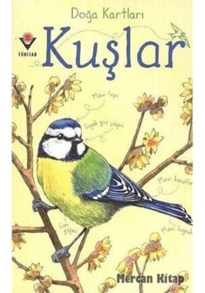 Doğa Kartları - Kuşlar