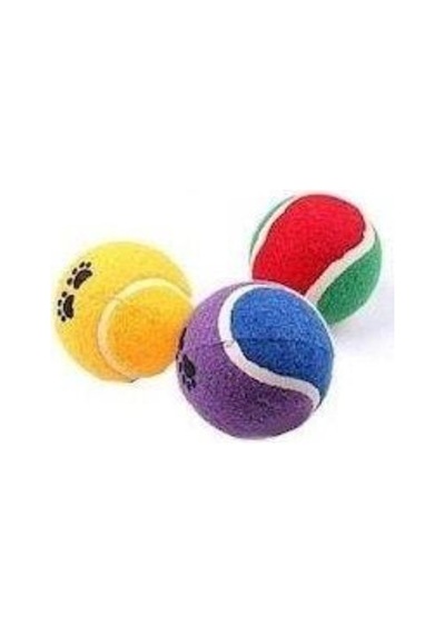 Nunbell Patili Köpekler için Tenis Topu 3'lü Çok Renkli