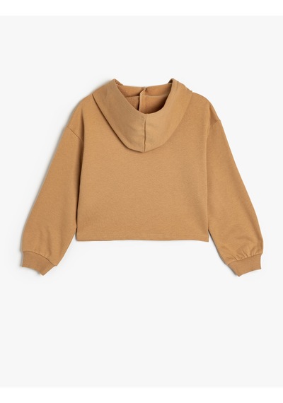 Koton Kapşonlu Sweatshirt Köpek Baskılı Uzun Kollu Pamuklu Kahverengi 5wkg10557ak Kahverengi