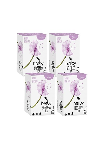 Herby Nos Tea Karışık Süzen Poşet Çay 4'lü 20 x 2 G