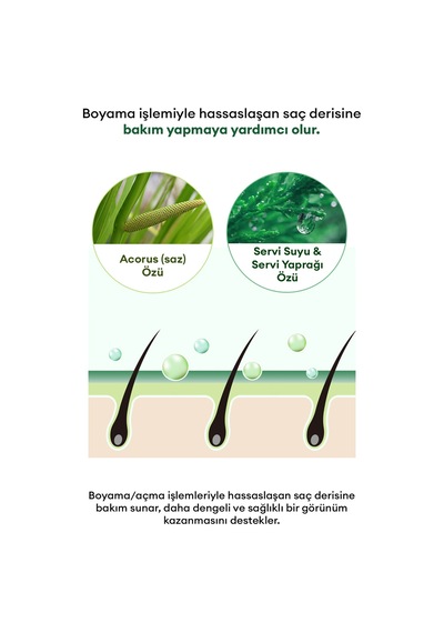 Sarı Renkleri Nötrleyen, Renk Koruyucu Mor Şampuan Mılk Baobab Color Protect Shampoo Boyalı / Röfleli
