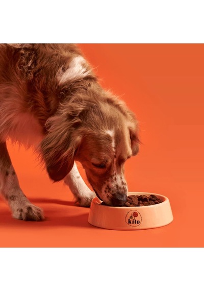 Doğal Besi Kuzu Etli Yetişkin Köpek Maması 15 Kg