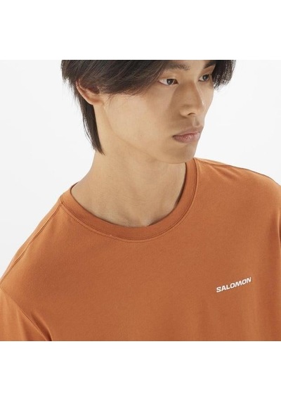 Salomon Salomon Logo Tee M Erkek T-shirt-29659 Turuncu
