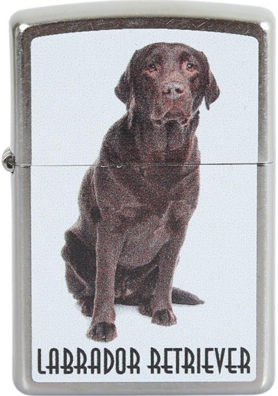 Zippo Çakmak Labrador Retriever