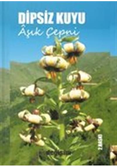 Dipsiz Kuyu - Aşık Çepni - Değişim Yayınları