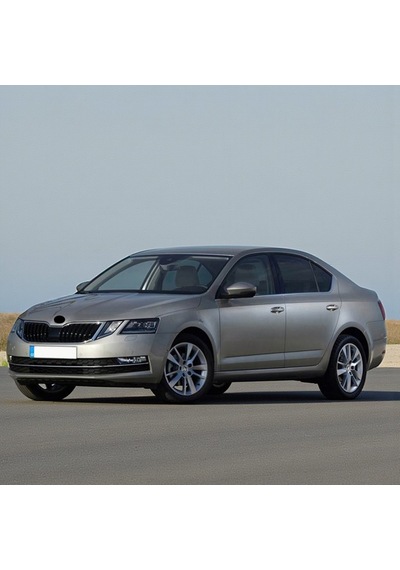 Skoda Octavia 2017-20 Üç Yolcu Kapısı Cam Düğmesi Krom 5e0959855a