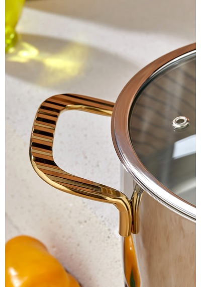 Cooker Bomonti 16 Cm 2 Litre İndüksiyon Uyumlu Paslanmaz Çelik Gold Kulplu Derin Tencere Ckr3467