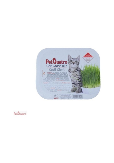 Petquatro Kedi Çimi