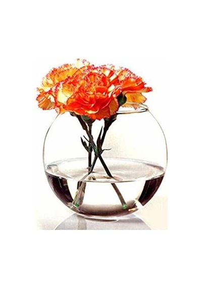 Paşabahçe Botanica Fanus Sunum Kasesi 43417 Şeffaf
