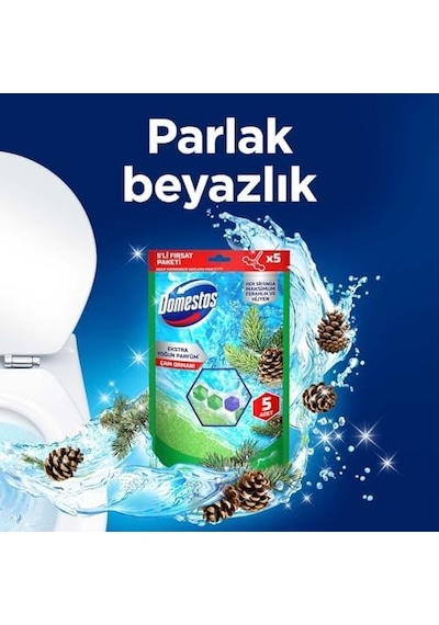 Domestos Tuvalet Bloğu Çam Ormanı 5'li Güç, 250 Gram