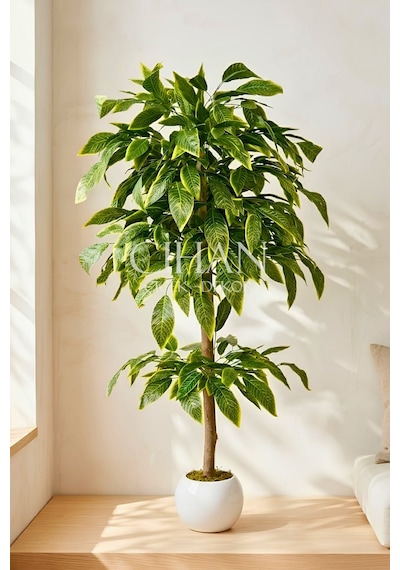 Premium Kalite Yapay Ceviz Ağacı 180 Cm 27x33 Küre Saksı Beyaz