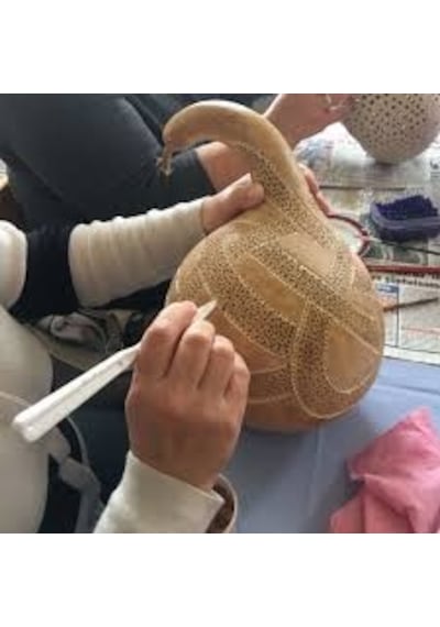5 Adet Tohum Nadir Kuğu Su Kabağı Tohumu Kabak Tohumu Tohu
