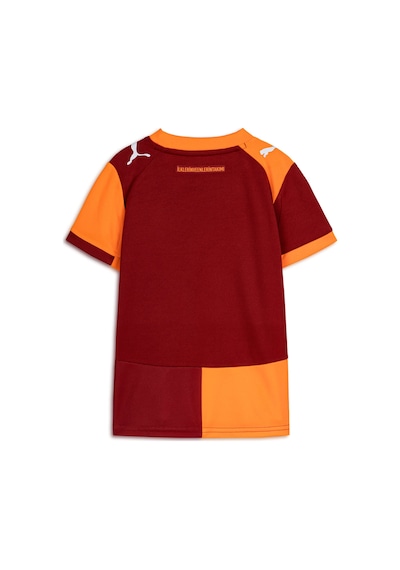 Puma Galatasaray 25/26 Genç İç Saha Forması 779818 01 Kırmızı