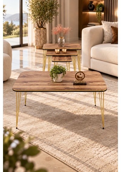 Odera Çift Ceviz Orta Sehpa Ve Zigon Sehpa 4'lü Set Metal Tel Ayaklı Modern Retro Salon Sehpası Diğer