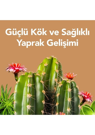 Petroturk Succulent Sıvı Bitki Besini 250 Ml 1