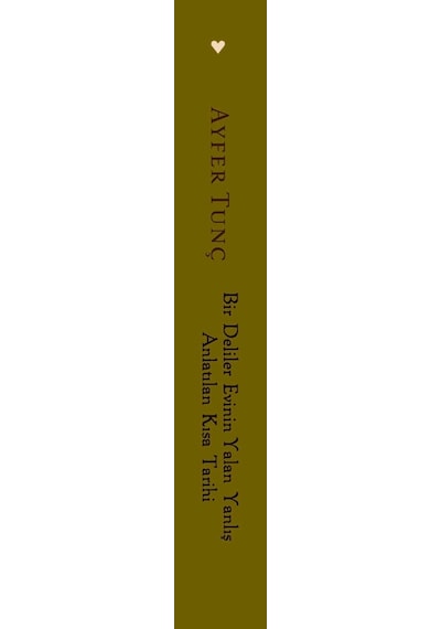 Bir Deliler Evinin Yalan Yanlış Anlatılan Kısa Tarihi - Ayfer Tunç - Can Yayınları