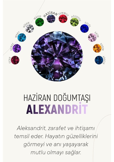 Haziran Alexandrit Doğum Taşı Rose Tektaş Çivili Gümüş Küpe