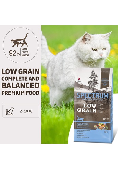 Düşük Tahıllı Somon, Hamsi Ve Yaban Mersinli Yetişkin Kedi Maması 2kg