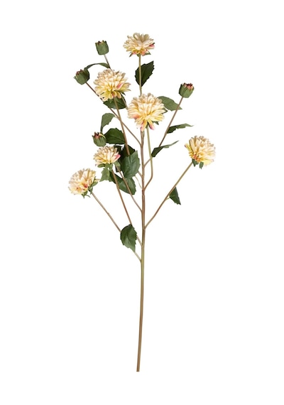 Krizantem Krem 77 Cm.