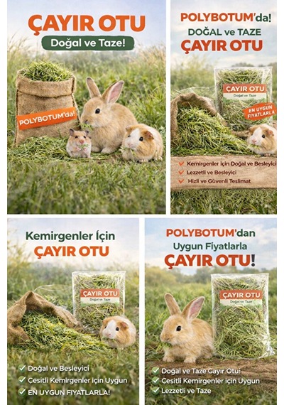Doğal Çayır Otu Kemirgen Yemi Tavşan Hamster Ginepig Chinchilla D