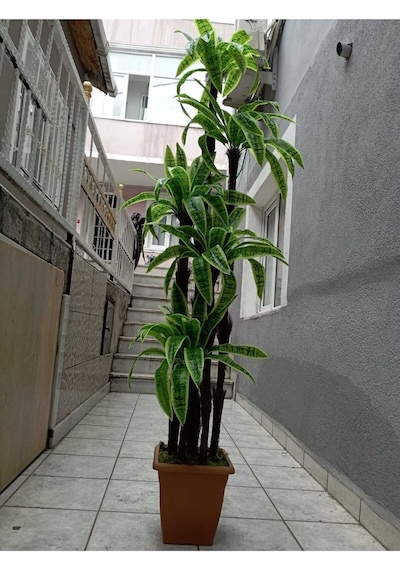 Yukka Dracenea Palmiye 195 Cm 90 Yaprak Büyük Boy Ev Ve Ofis İçin Yapay Ağaç Yeşil