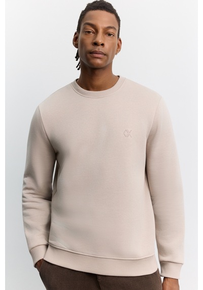 Avva Erkek Taş Bisiklet Yaka 3 İplik Şardonlu -5 Dereceye Dayanıklı Regular Fit Sweatshirt A62y1291