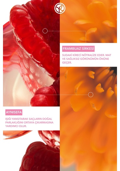 Yves Rocher Renk Koruyucu Saç Maskesi - Boyalı Saçlar / Couleur - Vegan -200ml