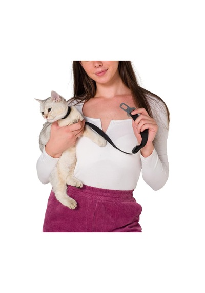 Kedi Ve Köpek Araç Emniyet Kemeri Tasması Yavru Evcil Hayvan Tasmaları Araba Kemer Seyahat Tasma Seyahat Tasma Akses Çok Renkli