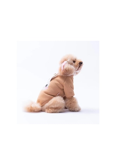 Pawstar Kahverengi Dublin Hopper Polarlı Küçük Irk Köpek Sweatshirtü