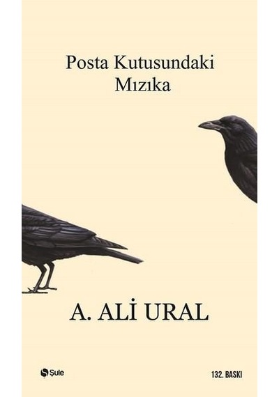 Posta Kutusundaki Mızıka - A.Ali Ural - Şule Yayınları