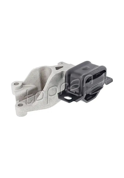 Topran 409015001 Motor Takozu Sol A1322200148