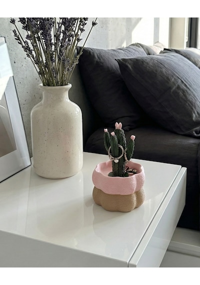 Elana Design Kaktüs Tasarımlı Takı Kutusu Yüzük, Bileklik Ve Kolye Düzenleyici Dekoratif Saklama Kutusu Bej - Pembe