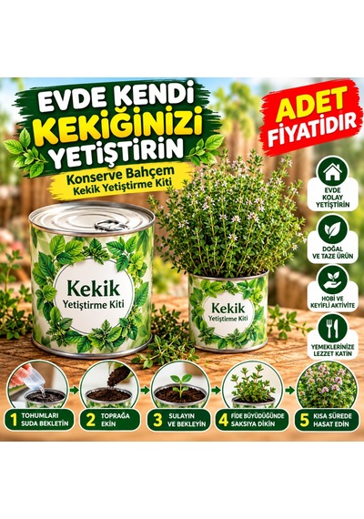 Evde Konservede Kekik Dağ Kekiği Yetiştirme Kiti Adet Fiyatıdır Çok Renkli