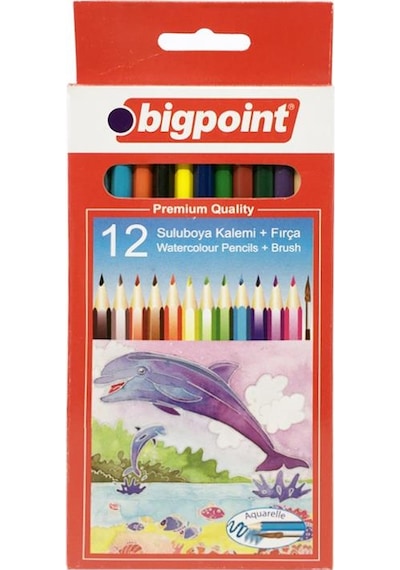 Bigpoint 12'li Sulu Boya Seti fırça