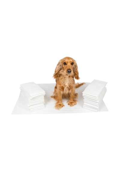 Puremed Kedi Köpek Çiş Pedi 60 x 90 CM 30'lu