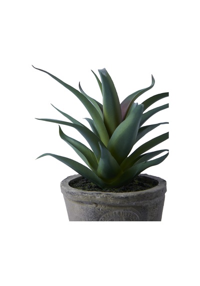 Yargıcı Yapay Bitki Sukulent 20x21 Cm 26knha1100t St
