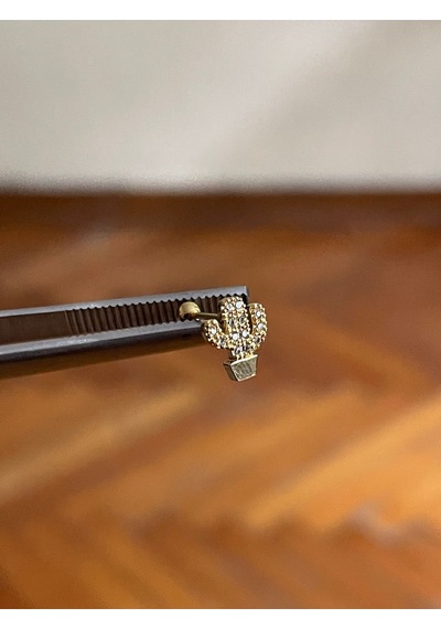 316 L Cerrahi Çelik Dudak Piercing Kıkırdak Helix Tragus Conch Zirkon Taşlı Figürlü Piercing Haki