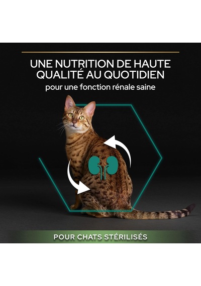Purina Kısırlaştırılmış Yetişkin Kediler İçin Somonlu Kedi Maması 3 Kg