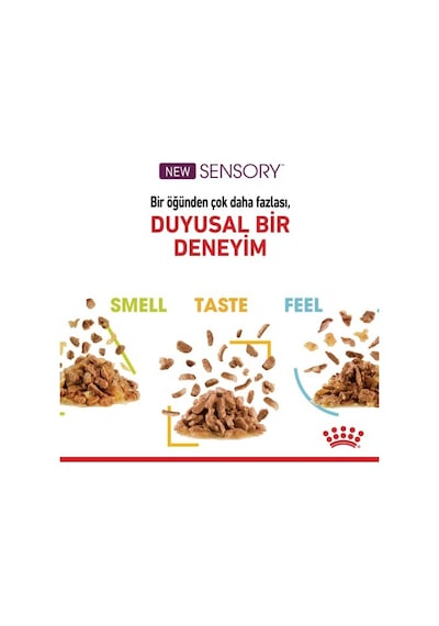 Royal Canin Sensory Koku Duyusu İçin Sos İçerisinde Yaş Kedi Maması 12 X 85g Box