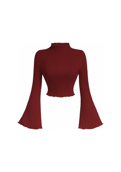 Wild Flower Bordo Fitilli Triko Bluz Uzun Kollu, Volan Kol, Dik Yaka Crop Üst Bordo