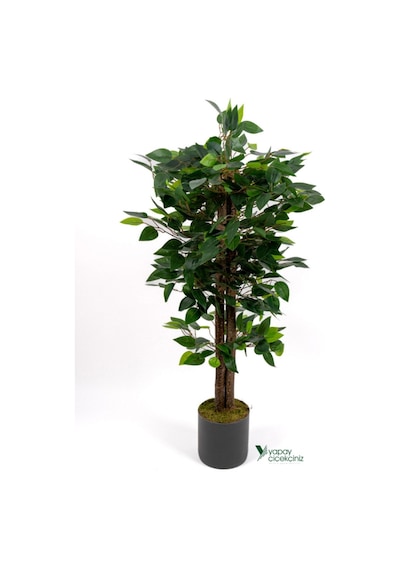 Yapay Çiçekçiniz 2 Adet Gri Saksıda Çim Detaylı 100 Cm Yapay Benjamin Ve Yapay Bambu Ağacı